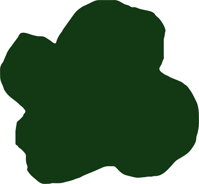 Hero Shape